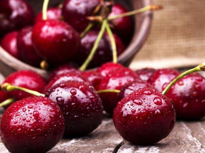 Вишня купить саженцы из питомника в Липецке